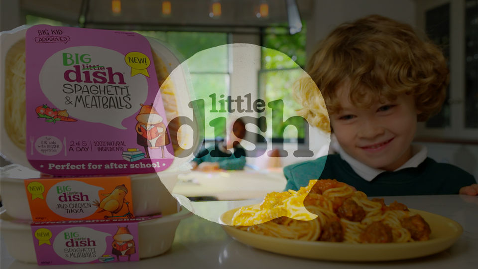 Big Dish Campaign Promo